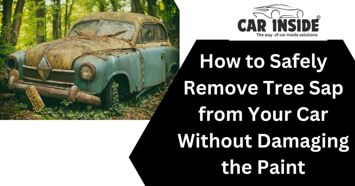 How to Safely Remove Tree Sap from Your Car Without Damaging the Paint